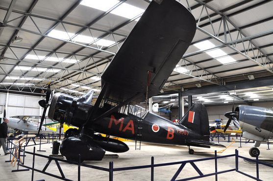 «Лайсандер»