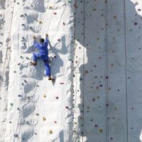 Freedom of the Seas (25/29)