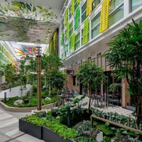 Icon Of The Seas (2/36)