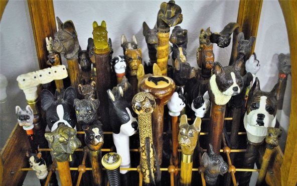 Музей бостон-терьеров