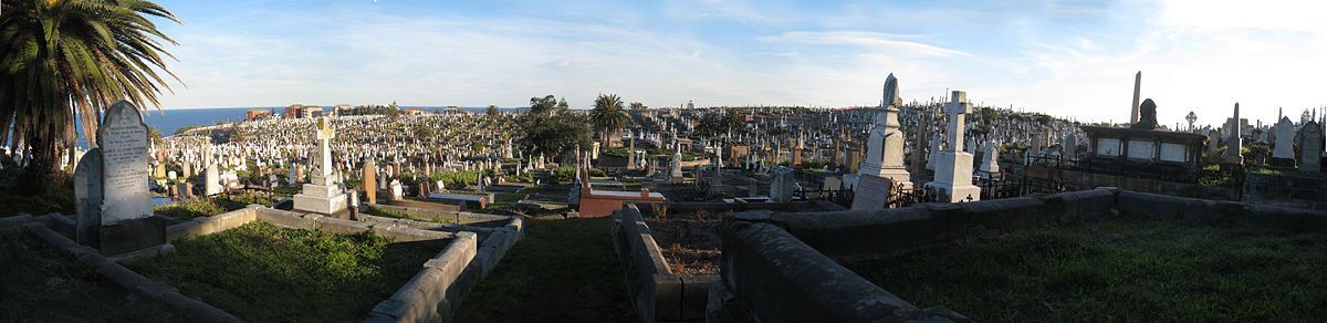 Панорама кладбища