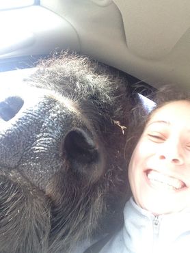 Заповедник «Олимпик-Гейм-Фарм»