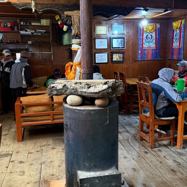 Гостевые домики, Лоджи