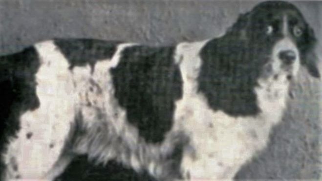 Джим в 1930 году