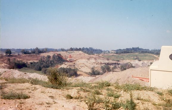 «Биг-Маски», вид сзади