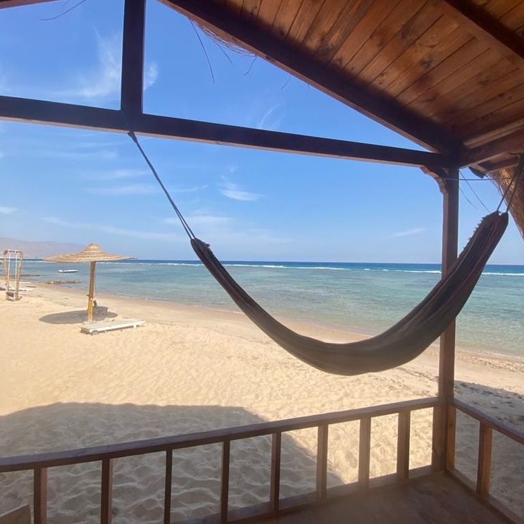 Апартаменты, Бунгало