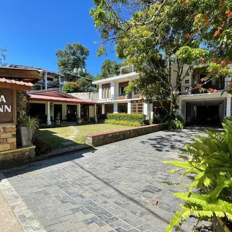 Отели 4*, Отели 5*