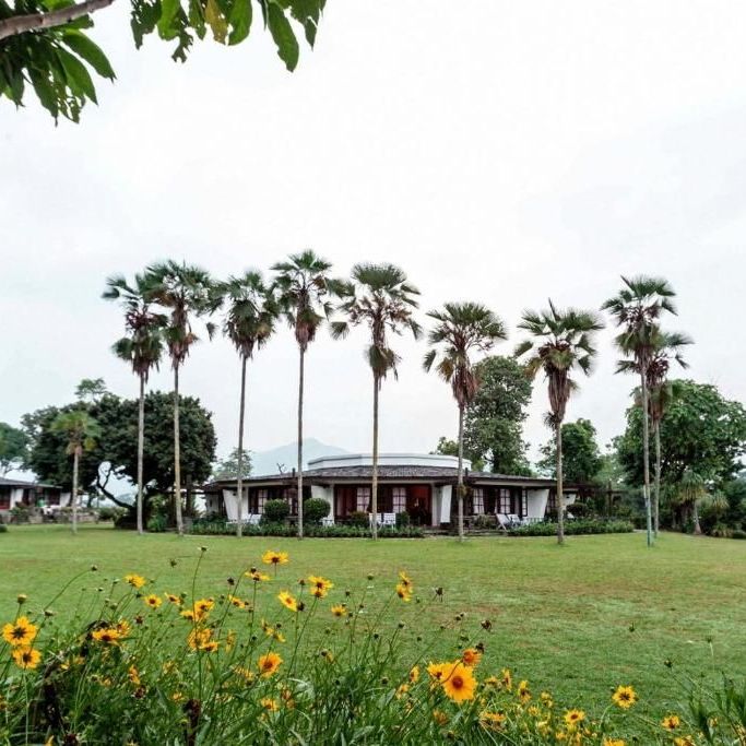 Гостевые домики, Отели 4*, Отели 5*