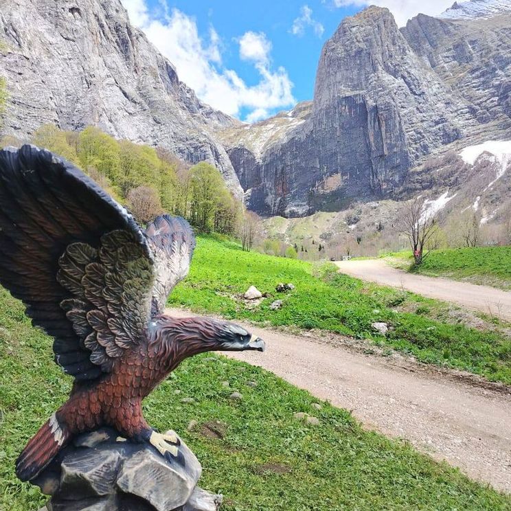 Гостевые домики