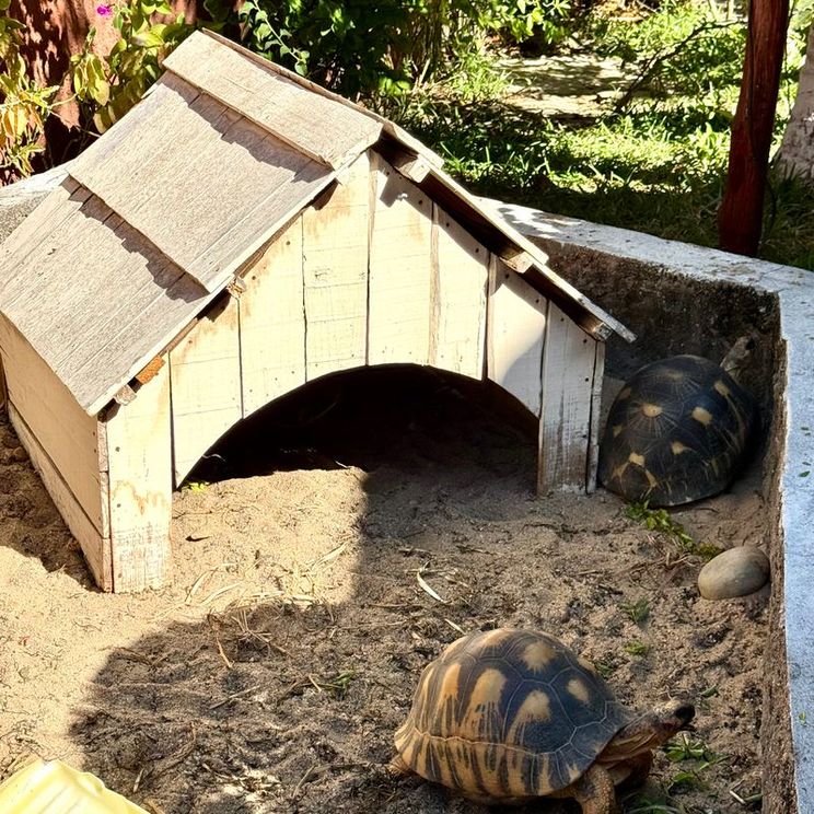 Отели 3*, Отели 4*, Лоджи