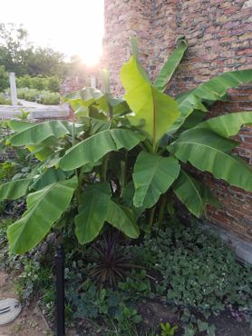 Руины в парке Холлидей