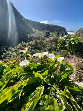 Днём здесь многолюдно, но всё равно красиво