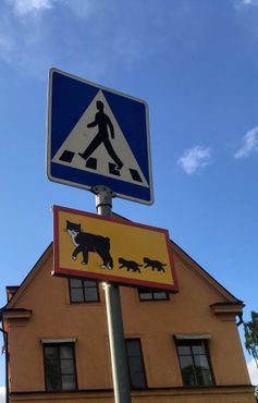 Кошки и дорожный знак с фигурой мужчины