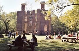 Руины плантации Розуэлл