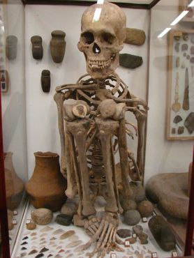 Скелет аборигена и прочие артефакты