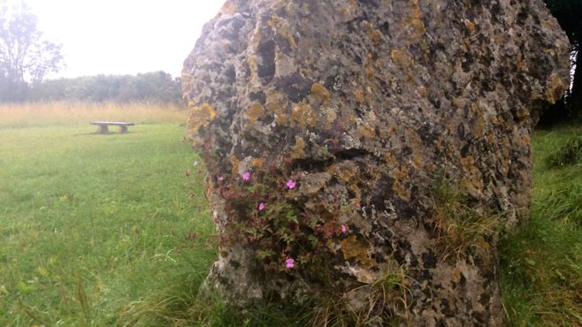 Камни Роллрайт