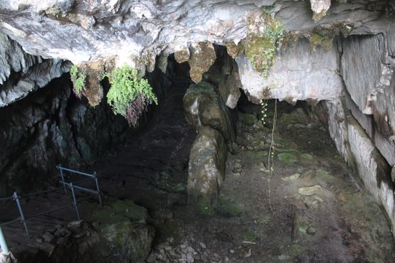 Внутри пещеры Эль-Пиндаль
