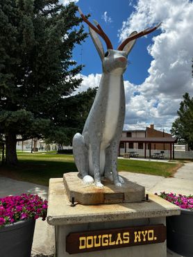 Второй по величине зайцелоп