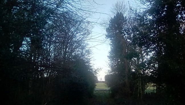 Игольное ушко