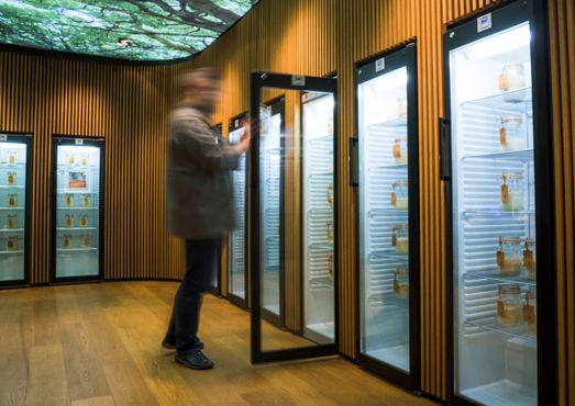 Библиотека заквасок