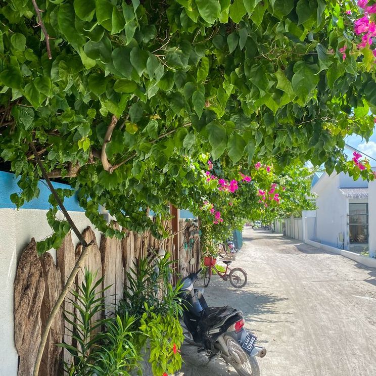 Гостевые домики, Бунгало