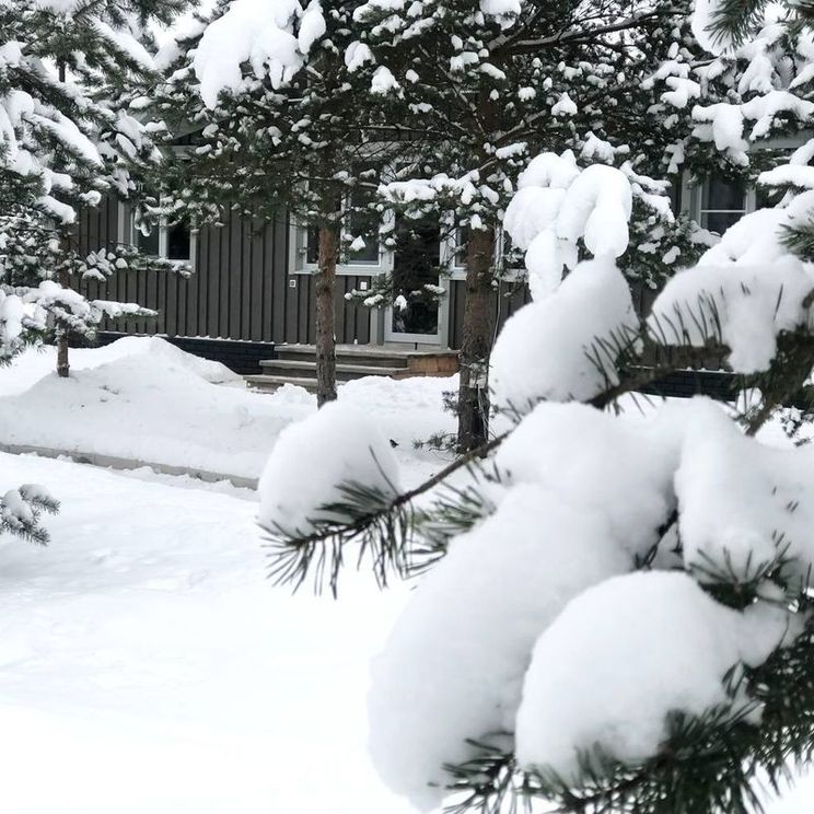 Гостевые домики