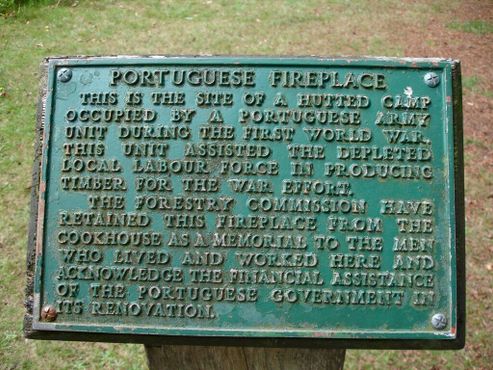 Португальский камин