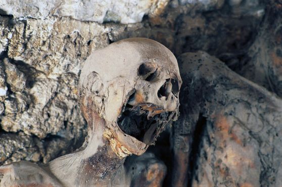 Мумифицированные останки, найденные в крипте церкви Святого Стефана, Ферентильо, Умбрия, Италия