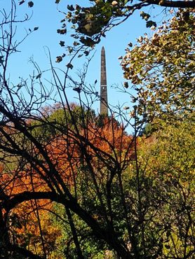 Вид на обелиск из Уортон-парка