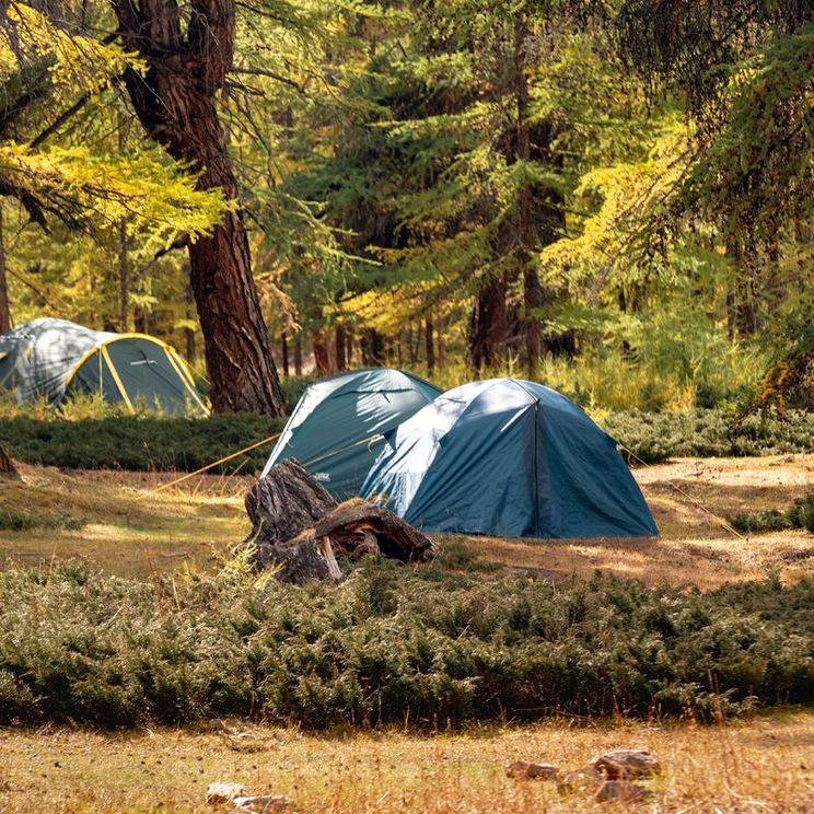 Юрты, Палатки