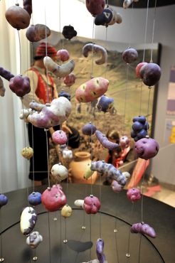 Музей картофеля фри