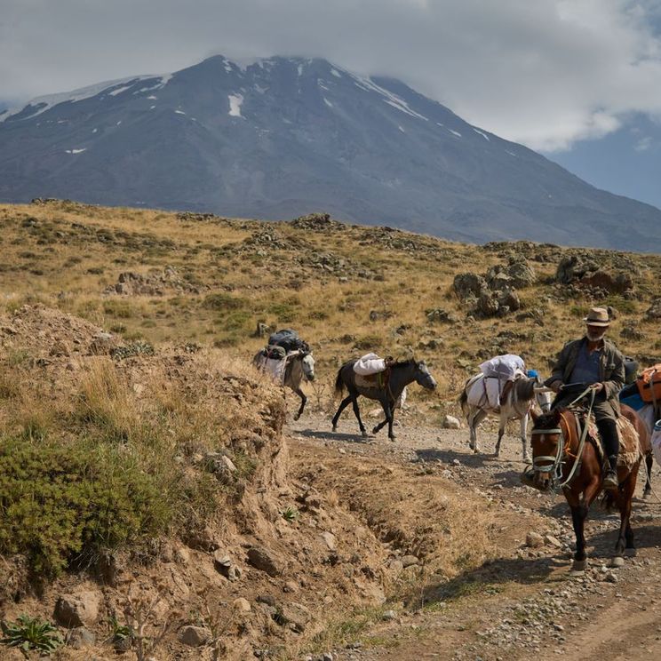 Отели 3*, Палатки