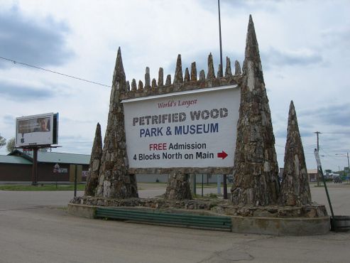 Парк окаменелых деревьев