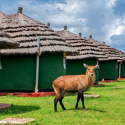Кемпинги, Гостевые домики