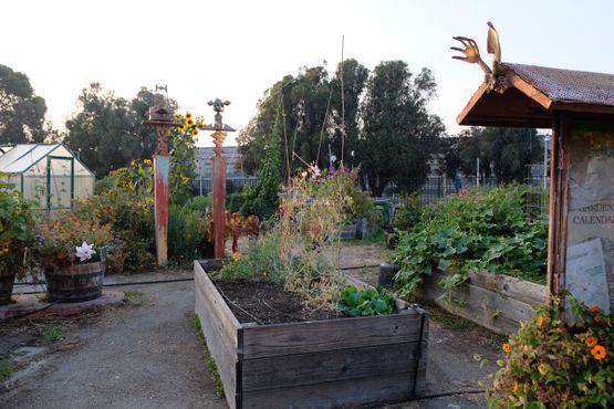 Общественный сад Большого Папочки