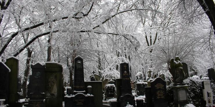 Ольшанское кладбище, зима 