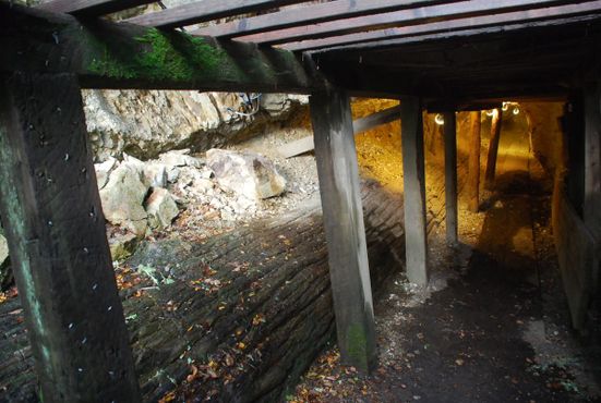 Туннельная шахта в склоне холма, ведущая вдоль одного из огромных окаменелых деревьев