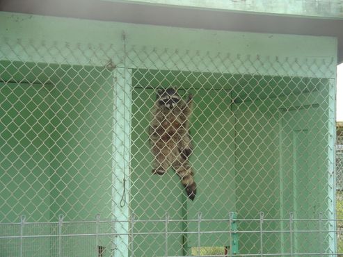 Заповедник «Олимпик-Гейм-Фарм»