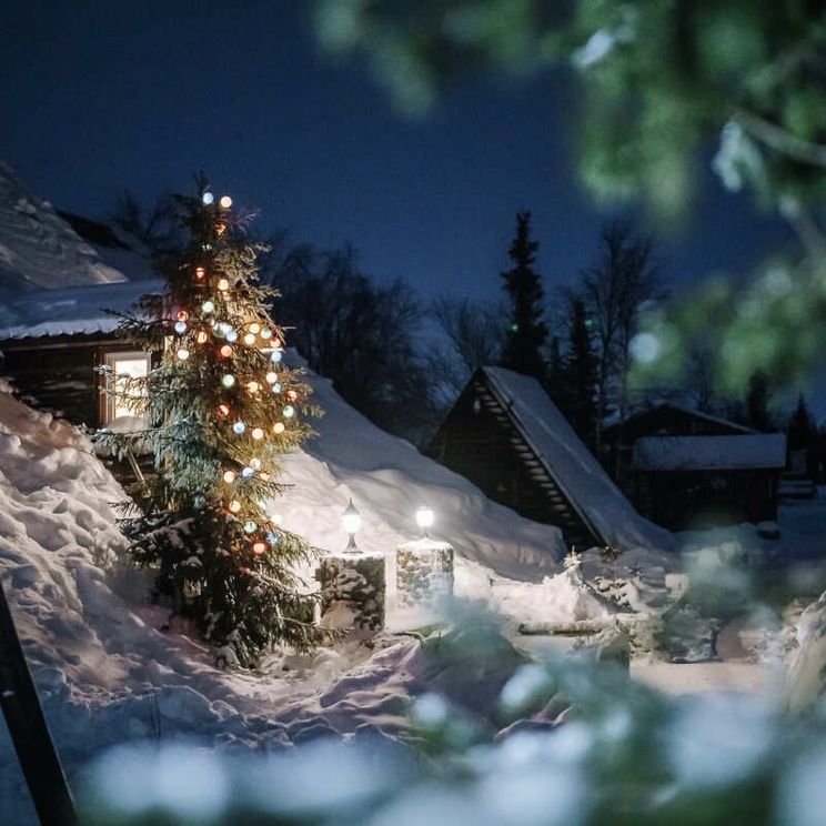 Гостевые домики