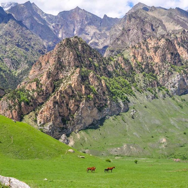 Гостевые домики