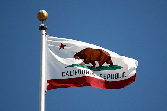 Флаг Калифорнии с медведем Монархом