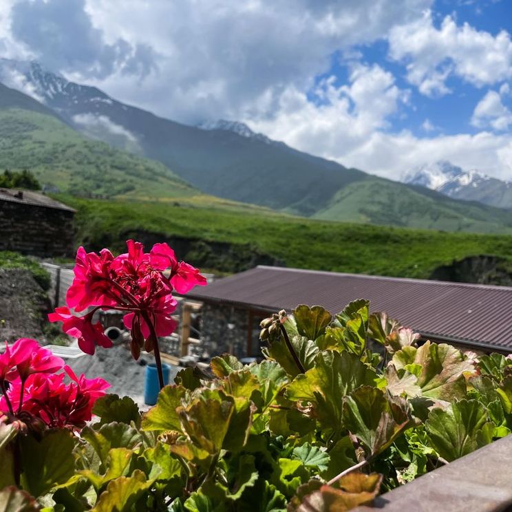 Бутик-отели