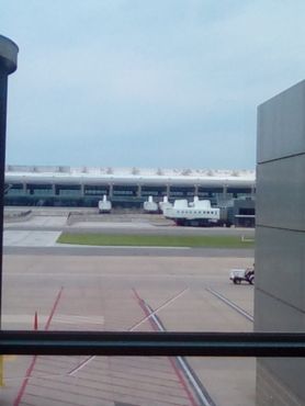 Плейн-мейты