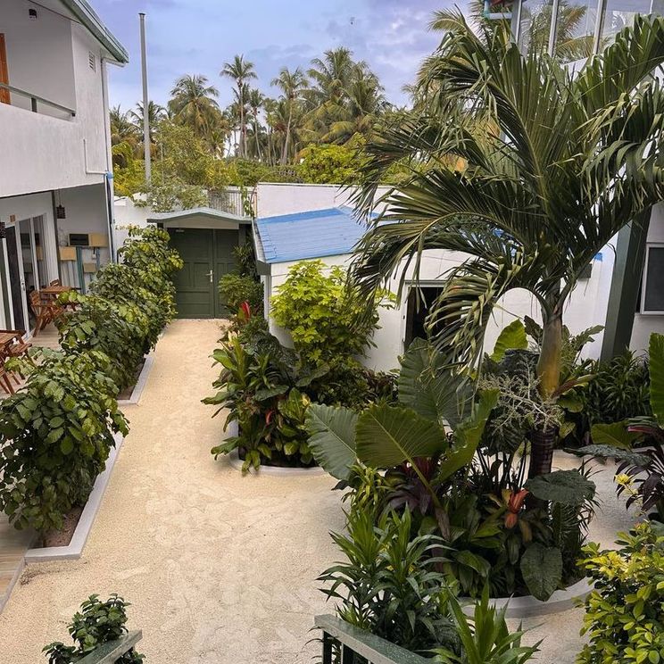 Гостевые домики