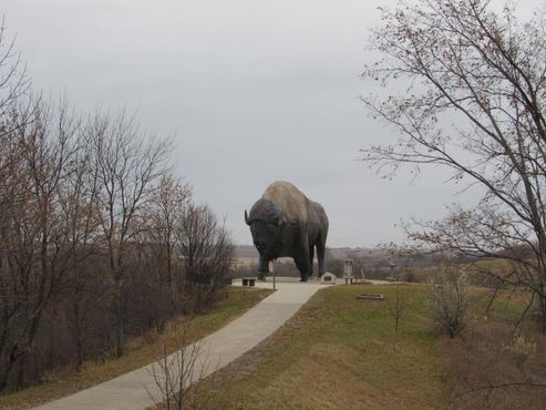Самый
большой бизон в мире