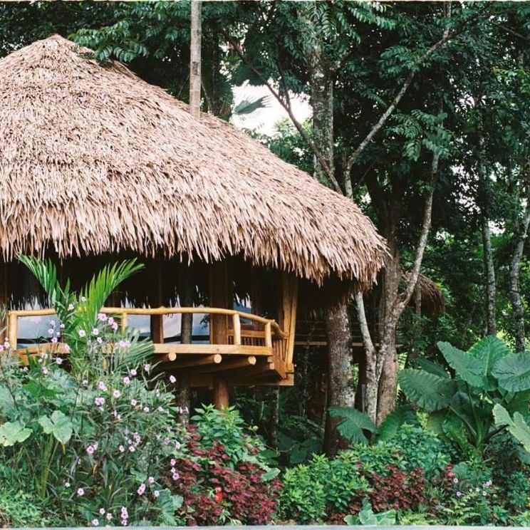 Отели 4*, Бутик-отели, Бунгало, Виллы, Лоджи