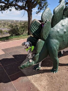 Парк динозавров