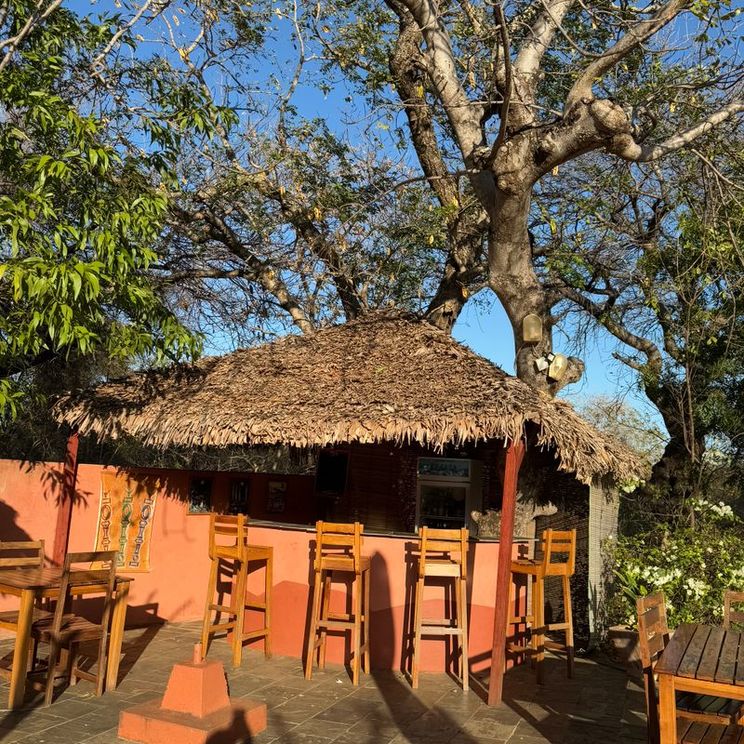 Бутик-отели, Бунгало, Лоджи, Шале