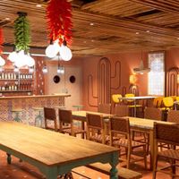 MSC World Europa (16/51)