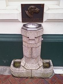 Питьевой фонтанчик в честь Странника Пэдди